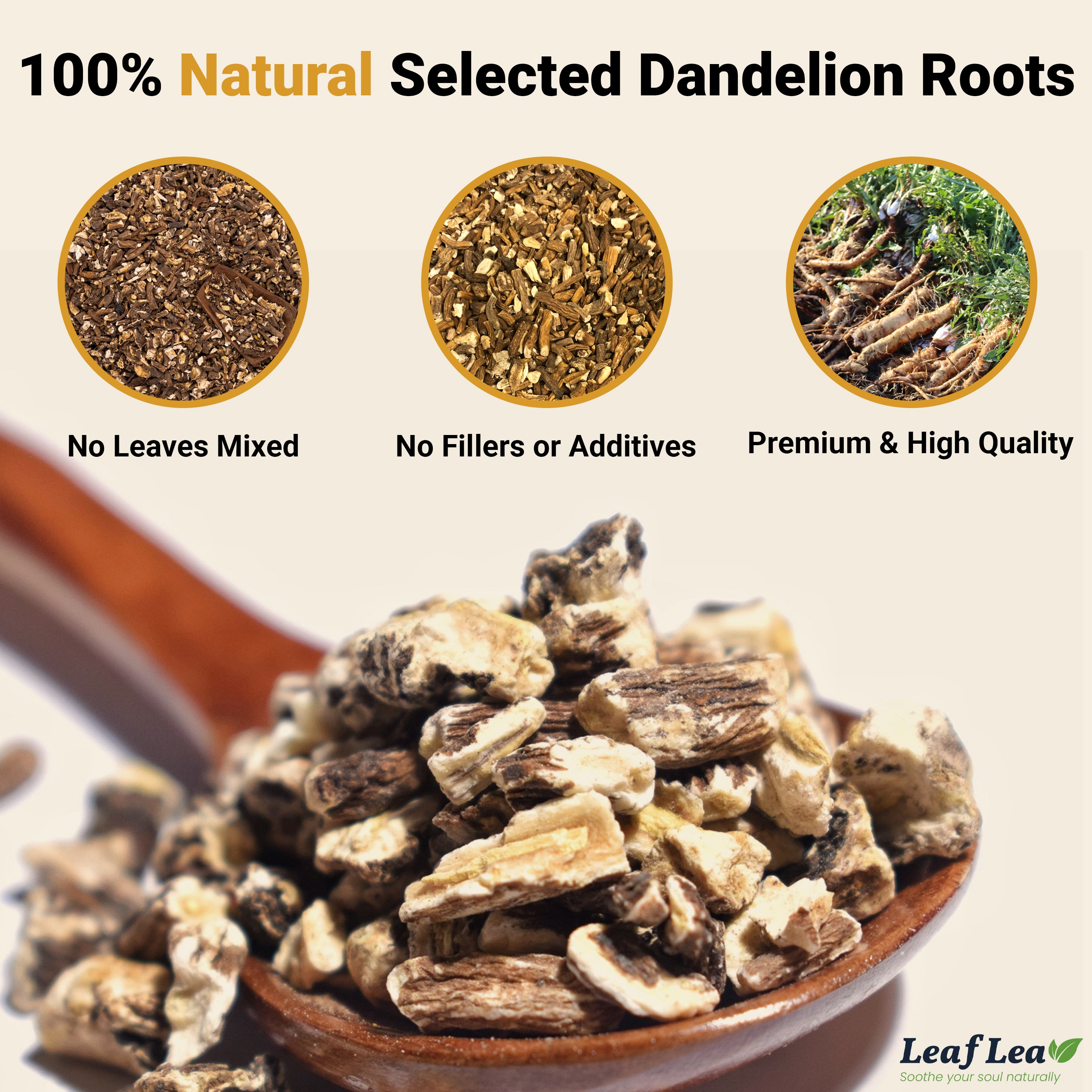 Dandelion Root Tea Bags Supports Kidney & Liver