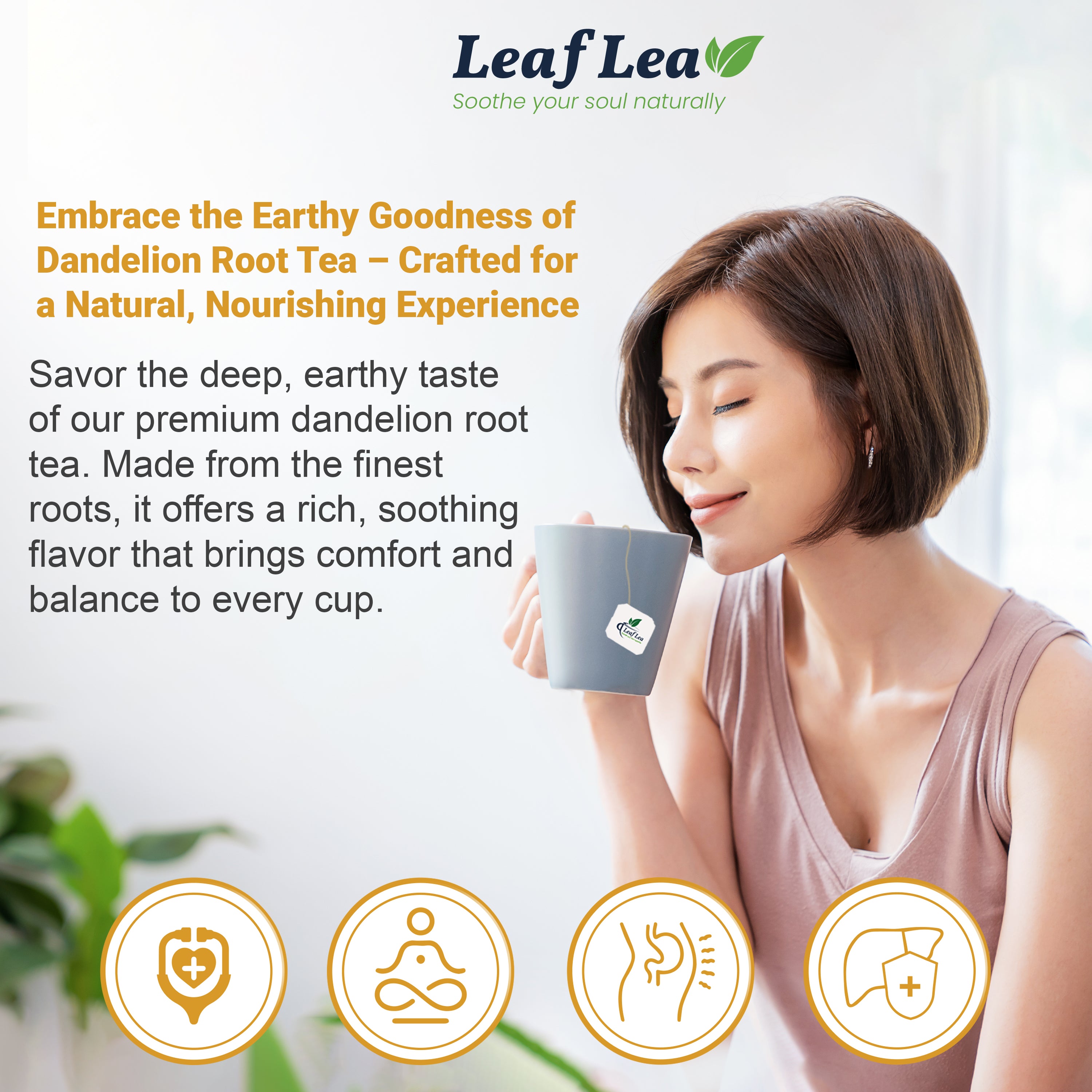 Dandelion Root Tea Bags Supports Kidney & Liver