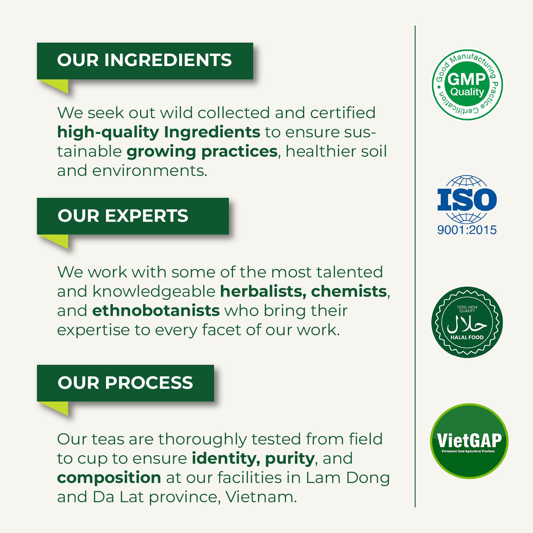 Ginger Green Tea Bags Blend Boosts Digestion & Immunity