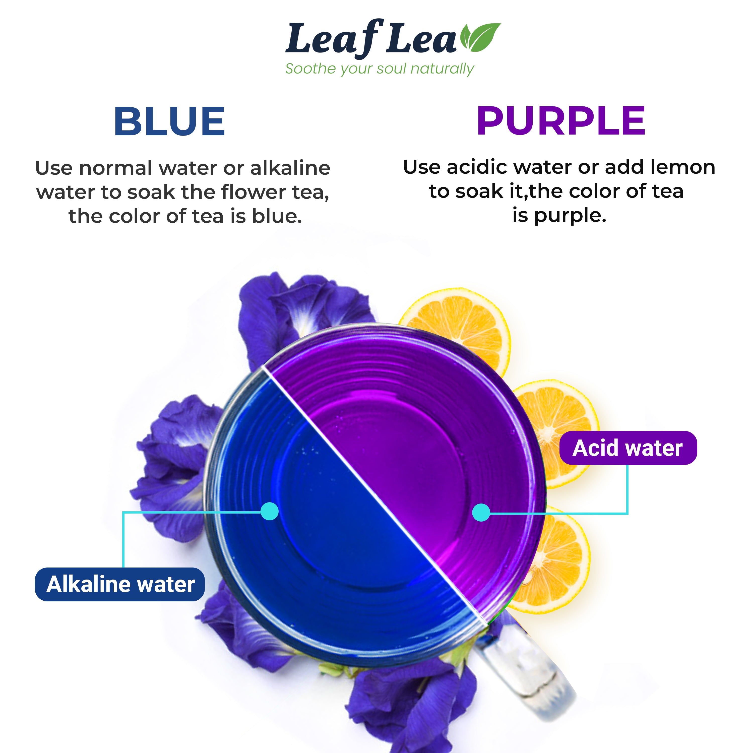 Butterfly Pea Flower Tea Bags for Mocktails & Natural Food Coloring