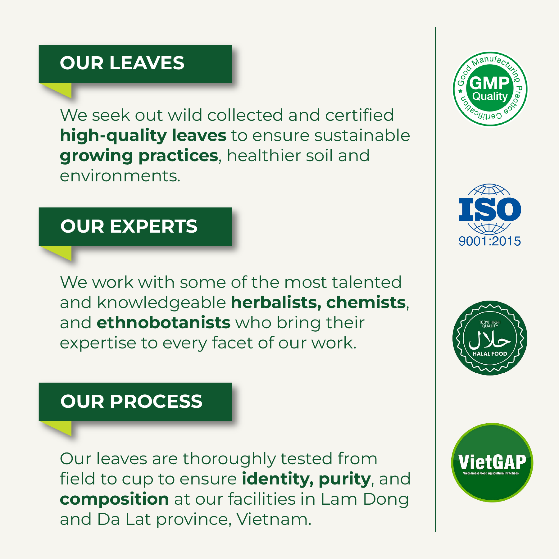 Premium Soursop Leaf Tea Bags for Digestion Support