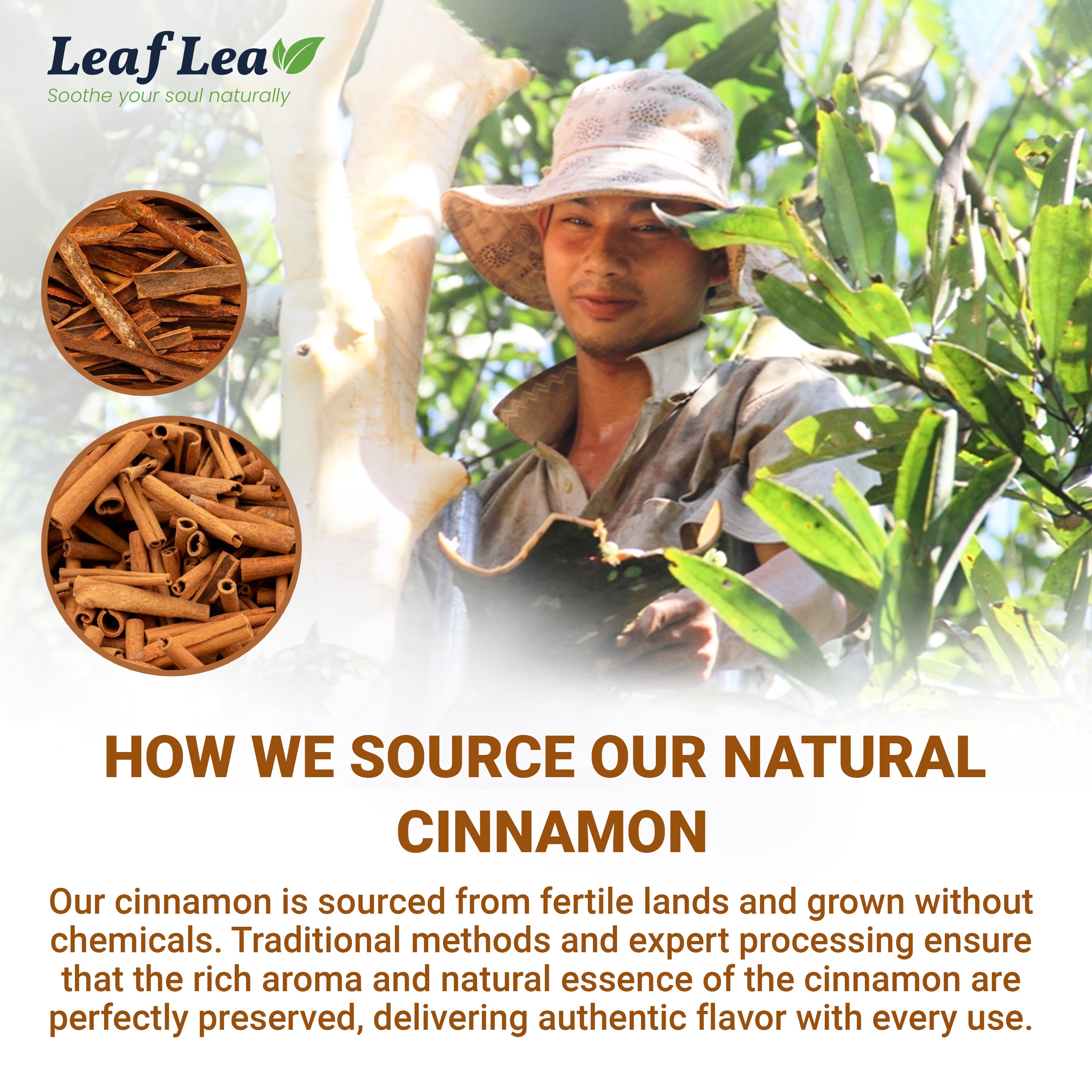 LeafLea 40 Cinnamon Tea Bags - Hot Spiced Cinnamon Tea Bags for Relaxation