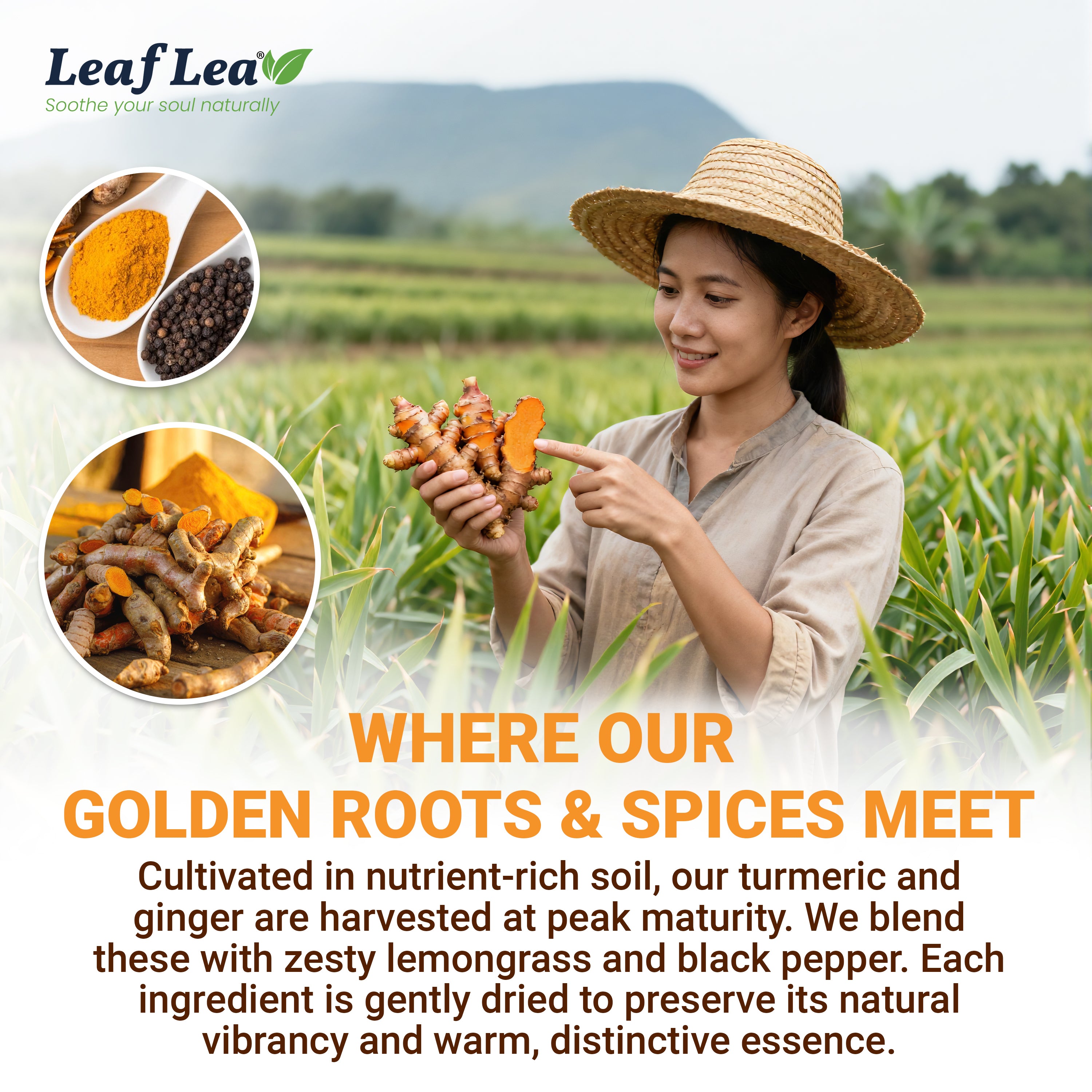 LeafLea Turmeric Ginger with Black Pepper Tea Bags, Individually Wrapped for Freshness, Natural Herbal Blend for Immunity, Joint & Digestion, Caffeine Free, Vegan, No Sugar