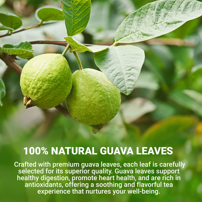 LeafLea Guava Leaf Tea Bags, 100% Natural Hojas De Guayaba 40 Premium Teabags, Supports Digestion & Immune Health, Rich in Antioxidants, Caffeine-Free, Non-GMO, Vegan