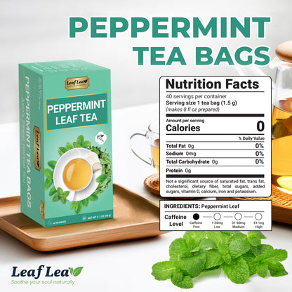 LeafLea Peppermint Leaf Tea Bags – Natural Herbal Tea with Cool, 40 Bags