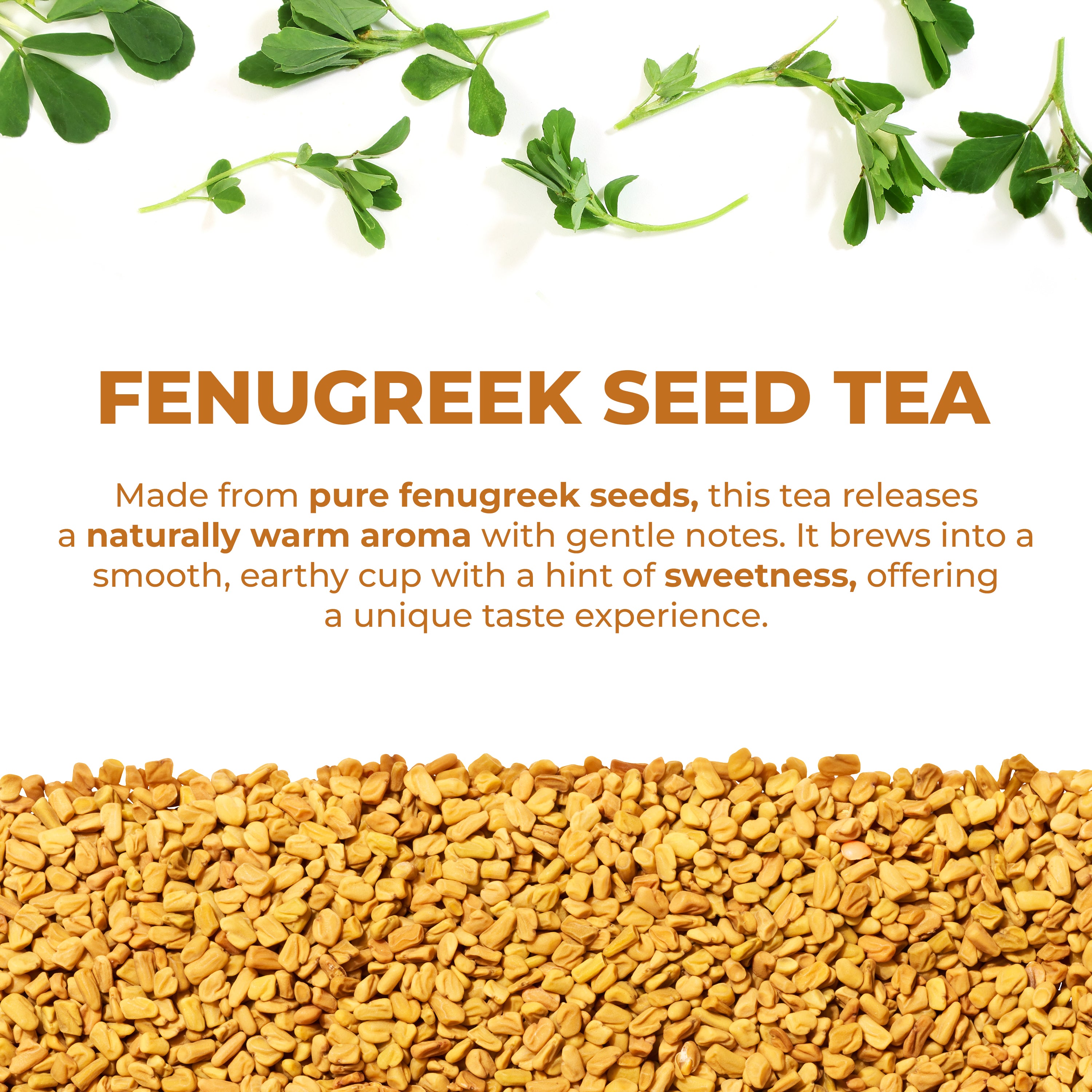 LeafLea 40 Natural Fenugreek Seed Tea Bags, 100% Pure from Fenugreek Seeds, Herbal Tea Infusion, Fenogreco Tea with Distinct Aroma and Smooth Flavor, Caffeine-Free