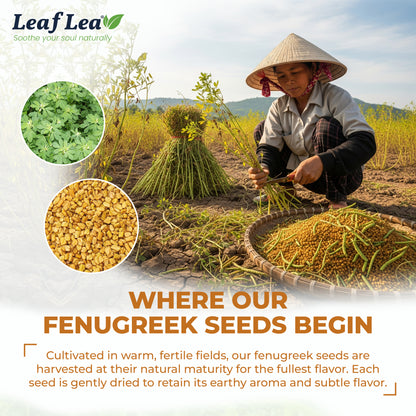 LeafLea 40 Natural Fenugreek Seed Tea Bags, 100% Pure from Fenugreek Seeds, Herbal Tea Infusion, Fenogreco Tea with Distinct Aroma and Smooth Flavor, Caffeine-Free