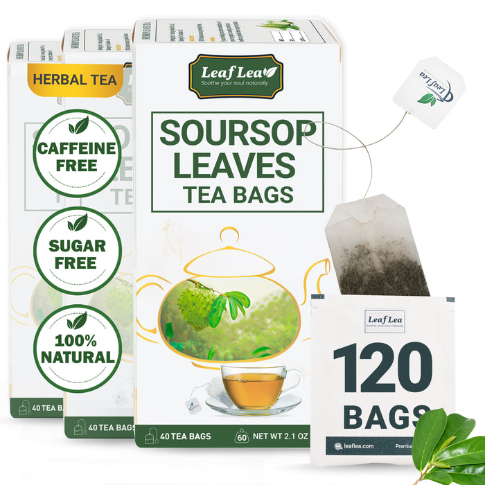 LeafLea Premium Soursop Leaf Tea Bags – Pure & Natural Graviola Herbal Tea, Hoja Guanabana for Digestive Support, Nutrient-Rich, Sugar-Free, Caffeine-Free, Pack of 3