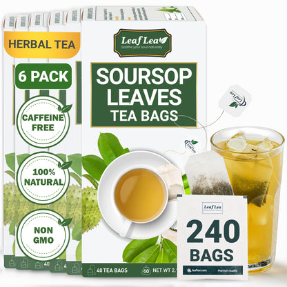 Premium Soursop Leaf Tea Bags for Digestion Support