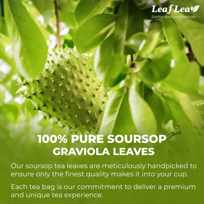 LeafLea Premium Soursop Leaf Tea Bags – Pure & Natural Graviola Tea, Hoja Guanabana Herbal Tea for Digestion Support, Nutrient-Rich, No Sugar, Caffeine-Free (40 Tea Bags)