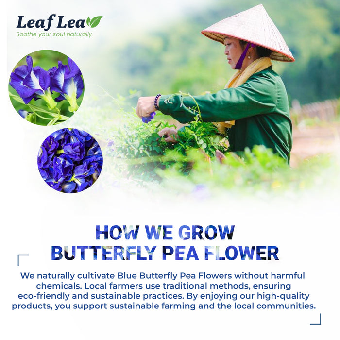 LeafLea Blue Butterfly Pea Flower Tea Bags – Herbal Blue Pea Tea for Relaxation, Mocktails & Natural Food Coloring, Caffeine-Free, Sugar-Free (40 Bags)