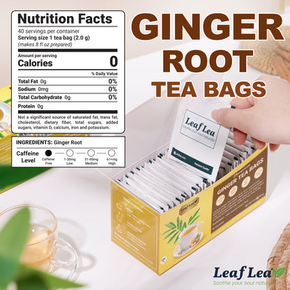LeafLea Ginger Herbal Tea – Bold Flavor & Warming Taste (40 Bags)