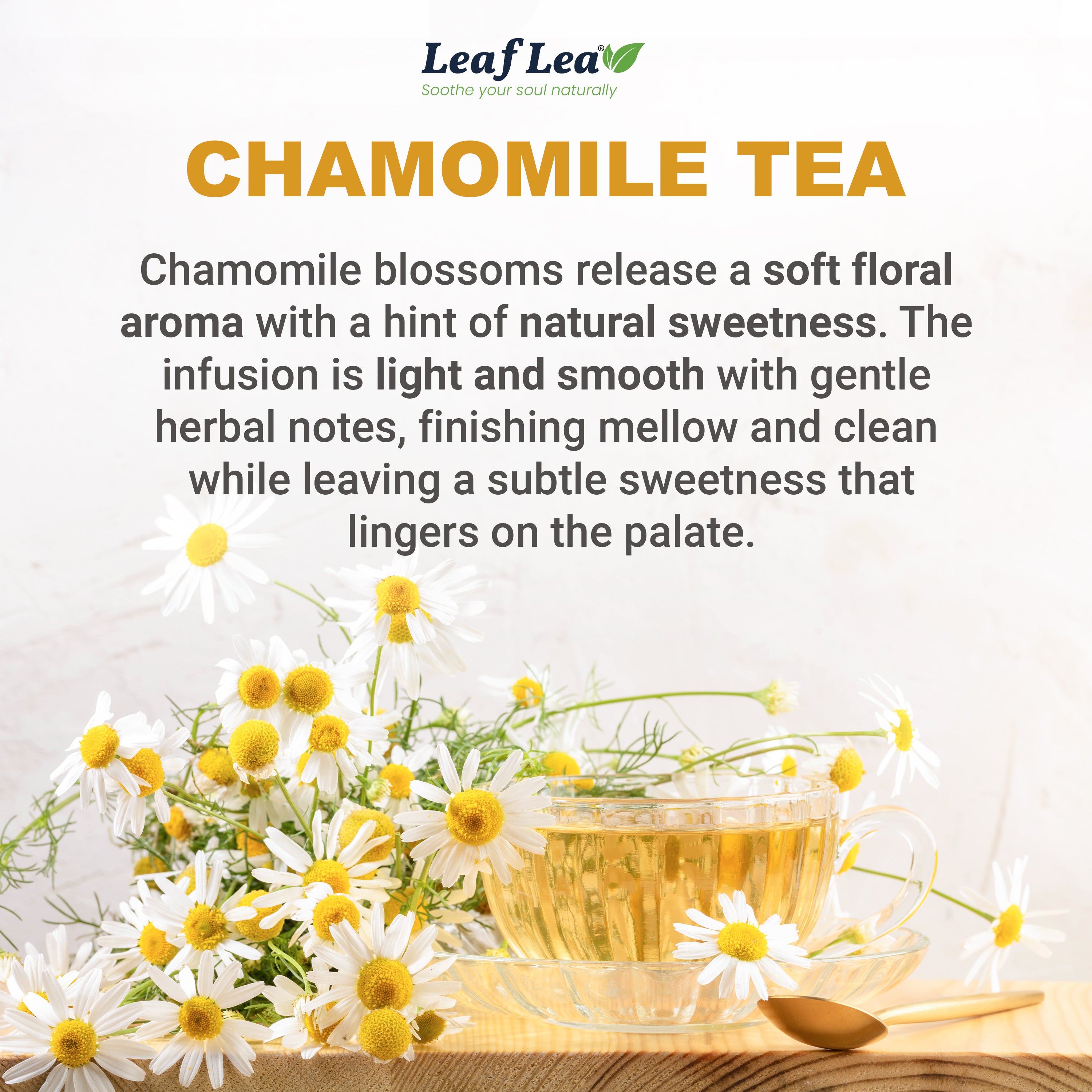 LeafLea Chamomile Tea Bags, Herbal Tea from Chamomile Flowers, Gentle Floral Scent, Clean Smooth Finish
