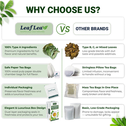 Premium Soursop Leaf Tea Bags for Digestion Support
