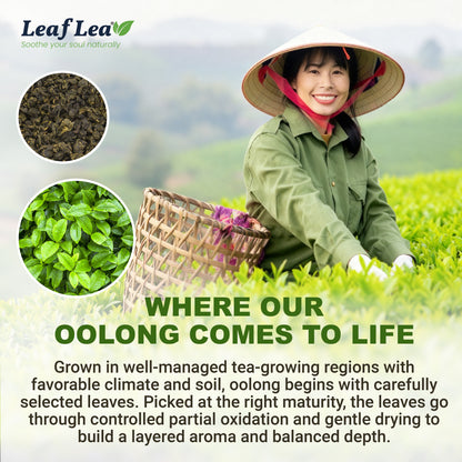 LeafLea Oolong Tea Bags, 100% Oolong Tea Leaves, Smooth Warm Aroma with Light Toasted Notes