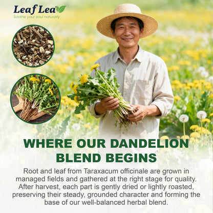 LeafLea Dandelion Root and Leaf Tea Bags, Roasted Dandelion Root Tea Blend, Natural Herbal Tea for Digestion & Wellness
