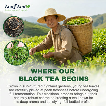LeafLea Black Tea Bags, Premium Full-Bodied Black Tea Leaves, Digestive Ease & Natural Alertness with Caffeine